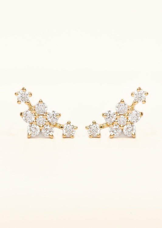 Flower Diamond Cluster Earrings - Mamma's Liquid Love